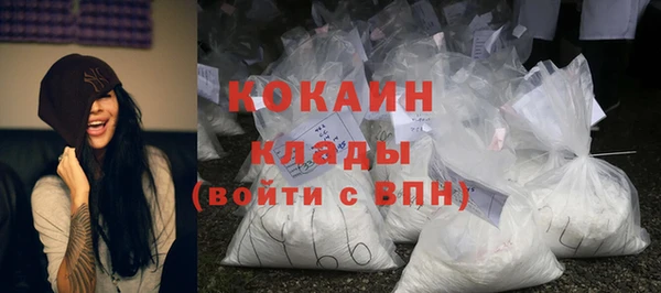 гашик Инта