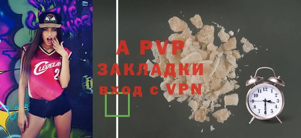 гашик Инта