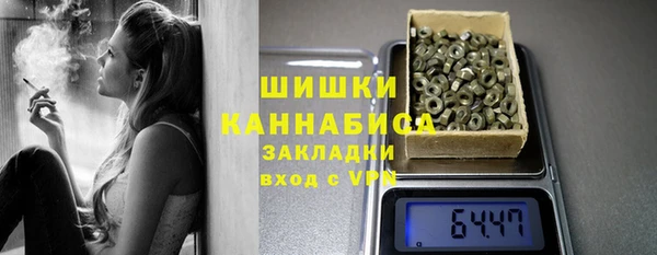 гашик Инта