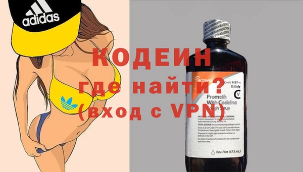гашик Инта