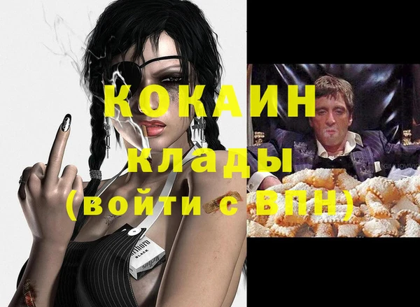 гашик Инта